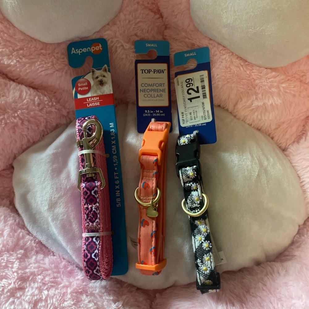 Small Dog leash & Collars Bundle - Picture 2 of 6
